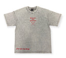 Protector and Maintainer 'Protected 24/7' T-Shirt (Grey W/Red) - FRESH N FITTED