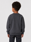 Jordan Craig Kids "Paradise" Pullover Crewneck Sweater (Charcoal) 8829TK