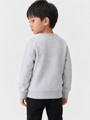 Jordan Craig Kids "Paradise" Pullover Crewneck Sweater (Grey) 8829TK